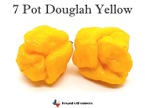 7 Pot Douglah Yellow