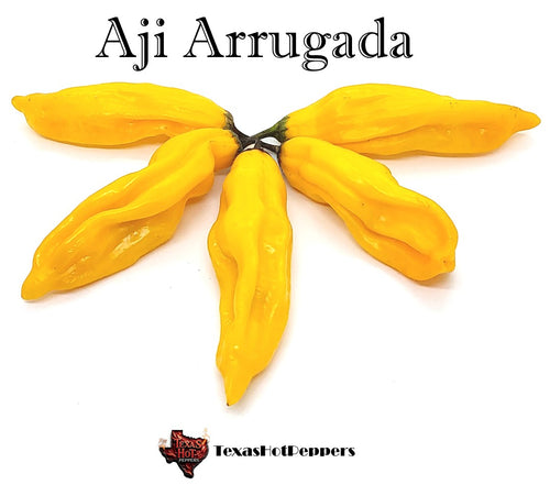Aji Arrugada