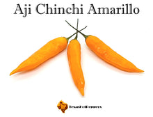 Load image into Gallery viewer, Aji Chinchi Amarillo