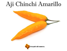 Load image into Gallery viewer, Aji Chinchi Amarillo