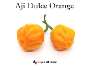 Aji Dulce Orange