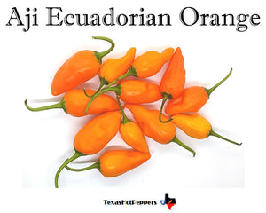 Aji Ecuadorian Orange