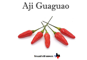 Aji Guaguao