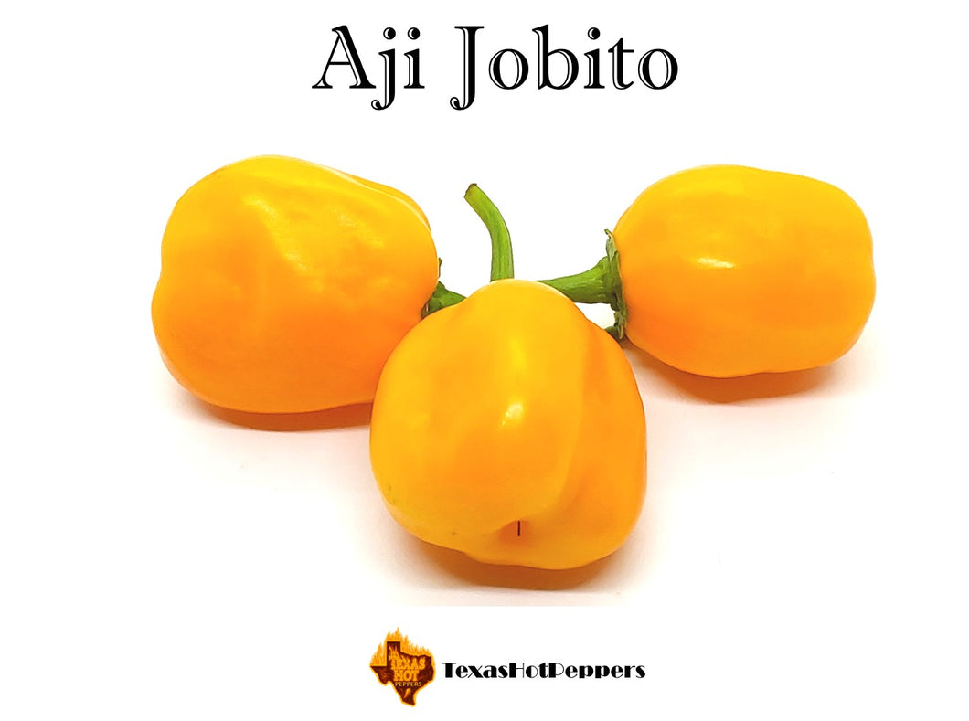 Aji Jobito