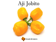 Load image into Gallery viewer, Aji Jobito
