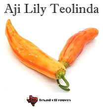 Load image into Gallery viewer, Aji Lily Teolinda