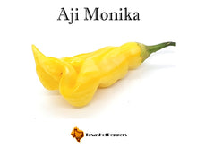 Load image into Gallery viewer, Aji Monika