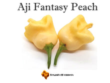 Load image into Gallery viewer, Aji Fantasy Peach