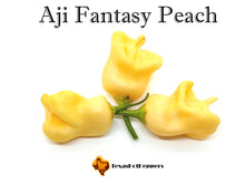 Load image into Gallery viewer, Aji Fantasy Peach