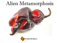 Load image into Gallery viewer, Alien Metamorphosis