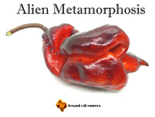 Load image into Gallery viewer, Alien Metamorphosis