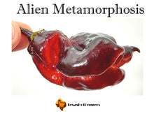 Load image into Gallery viewer, Alien Metamorphosis