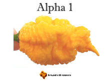 Load image into Gallery viewer, Alpha 1