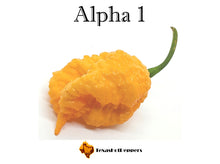 Load image into Gallery viewer, Alpha 1