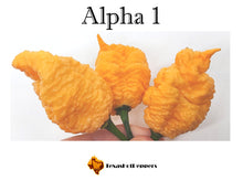 Load image into Gallery viewer, Alpha 1