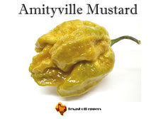 Load image into Gallery viewer, Amityville Mustard