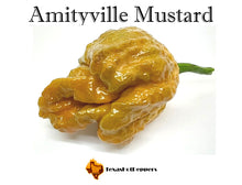 Load image into Gallery viewer, Amityville Mustard