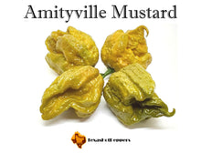Load image into Gallery viewer, Amityville Mustard