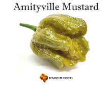 Load image into Gallery viewer, Amityville Mustard