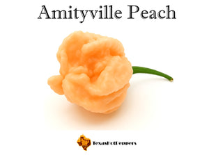 Amityville Peach