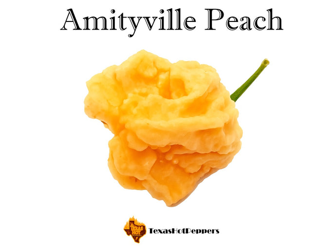 Amityville Peach