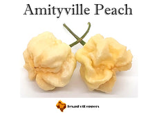 Load image into Gallery viewer, Amityville Peach