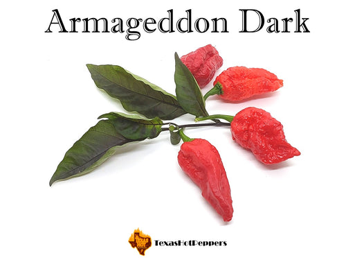 Armageddon Dark