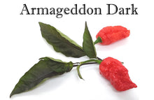 Load image into Gallery viewer, Armageddon Dark