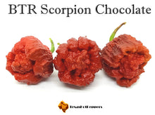 Load image into Gallery viewer, BTR Scorpion Chocolate