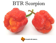 Load image into Gallery viewer, BTR Scorpion