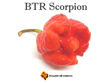 Load image into Gallery viewer, BTR Scorpion