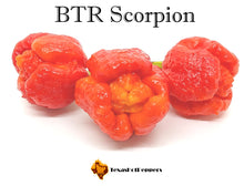 Load image into Gallery viewer, BTR Scorpion