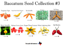 Load image into Gallery viewer, Baccatum Hot Pepper Seed Collections - 4 different collections of 10 varieties each!