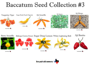 Baccatum Hot Pepper Seed Collections - 4 different collections of 10 varieties each!