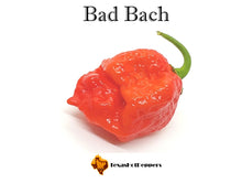 Load image into Gallery viewer, Bad Bach