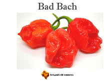 Load image into Gallery viewer, Bad Bach