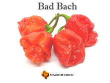 Load image into Gallery viewer, Bad Bach