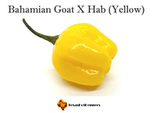 Load image into Gallery viewer, Bahamian Goat X Habanero
