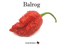 Load image into Gallery viewer, Balrog