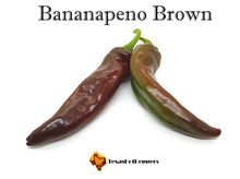 Load image into Gallery viewer, Bananapeno Brown