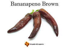 Load image into Gallery viewer, Bananapeno Brown