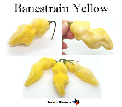 Banestrain Yellow