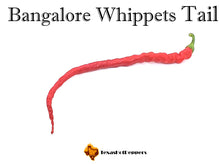 Load image into Gallery viewer, Bangalore Whippets Tail