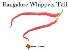 Load image into Gallery viewer, Bangalore Whippets Tail