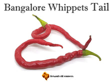 Load image into Gallery viewer, Bangalore Whippets Tail