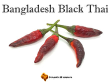 Load image into Gallery viewer, Bangladesh Black Thai