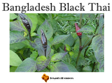 Load image into Gallery viewer, Bangladesh Black Thai