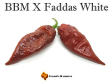 Load image into Gallery viewer, BBM X Faddas White (Chocolate)