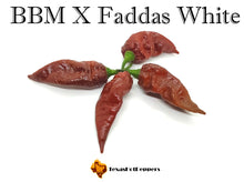 Load image into Gallery viewer, BBM X Faddas White (Chocolate)