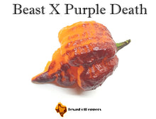 Load image into Gallery viewer, Beast X Purple Death
